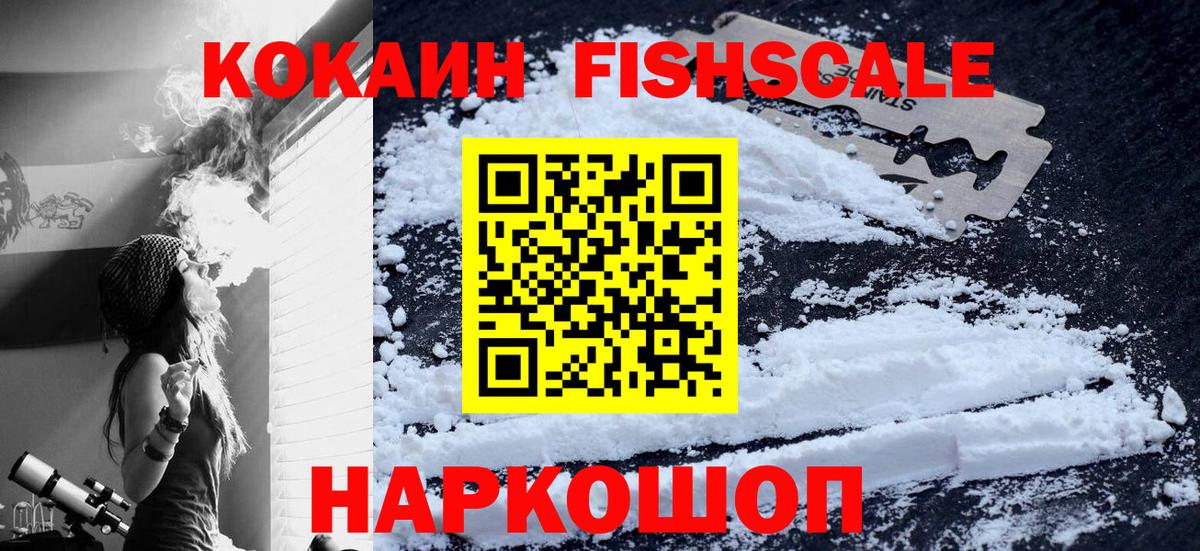 COCAIN FishScale Сердобск